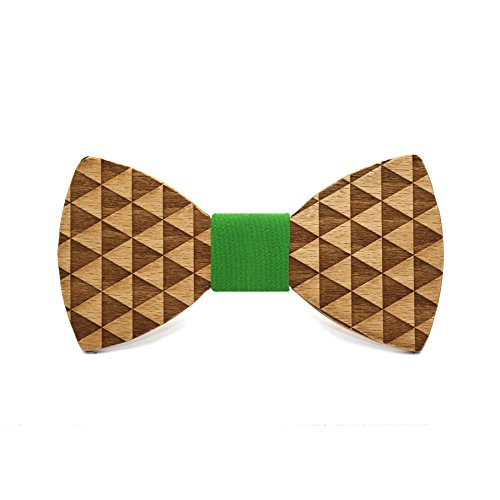 Territorial Holzfliege