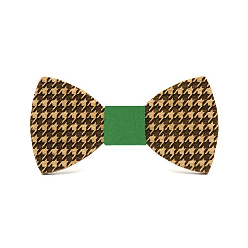 Territorial Holzfliege